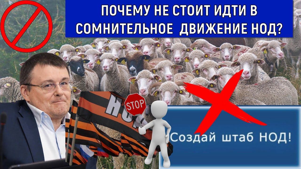 Почему не стоит идти в движение НОД? Руслан Михайлов