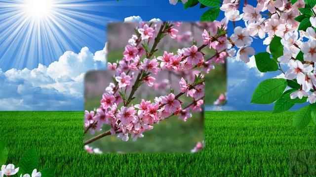 Весна пришла смотреть онлайн