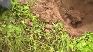 ПОИСК НА ПОЛЯХ 2010#1