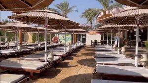 Бюджетный отель ELYSEES DREAM BEACH  4 *  #hurghadaegypt #hurghada #hotel #отелихургады/Хургада2022