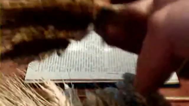 Органическое земледелие и органическая селекция-как создать хлеб с геномом полбы. 8 смотреть онлайн