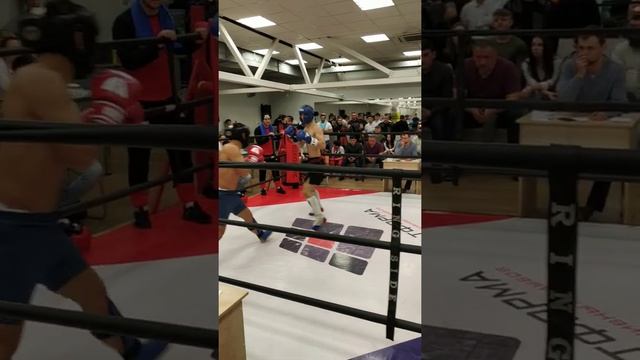 2019 кубок платформы 1 смотреть онлайн