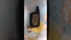 Брелок Scher-khan logicar 3