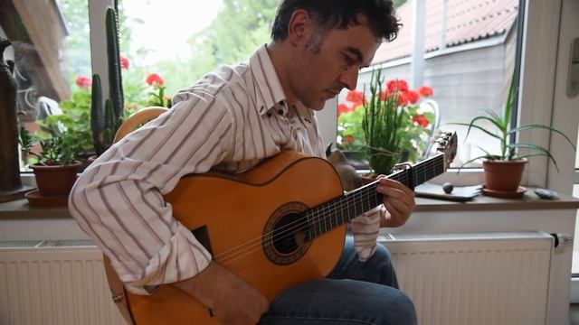 Dario Piga, Flamenco Guitarist and Instructor смотреть онлайн