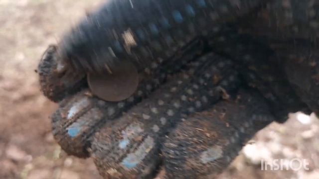 коп с МД. металлоискатель. Нокта макро легенд. nokta Makro Legend смотреть онлайн