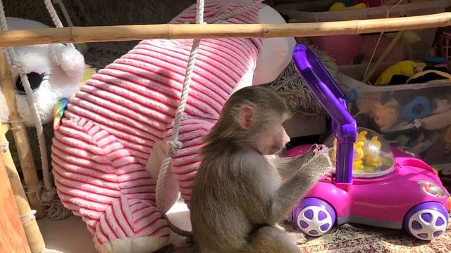 Насладитесь шопингом!!! Всем хорошего настроения!!! 11.11.23 смотреть онлайн