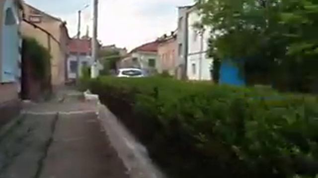 Красивая сирень возле дома Кибича. Улица Матросова