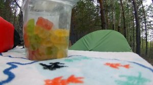 Велопутешествие Костанай - Щучье-Боровое 2019