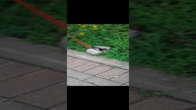 20220604_153436.mp4