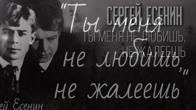 Ты меня не любишь - Есенин С. А - Авт исп Михаил Оводов смотреть онлайн