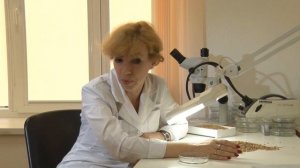 Горчак ползучий