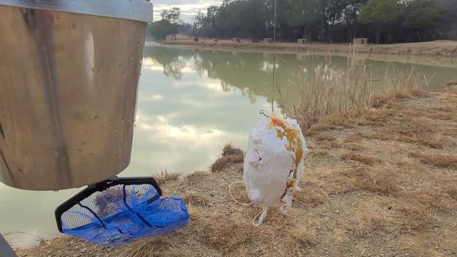 Papgooi смотреть онлайн