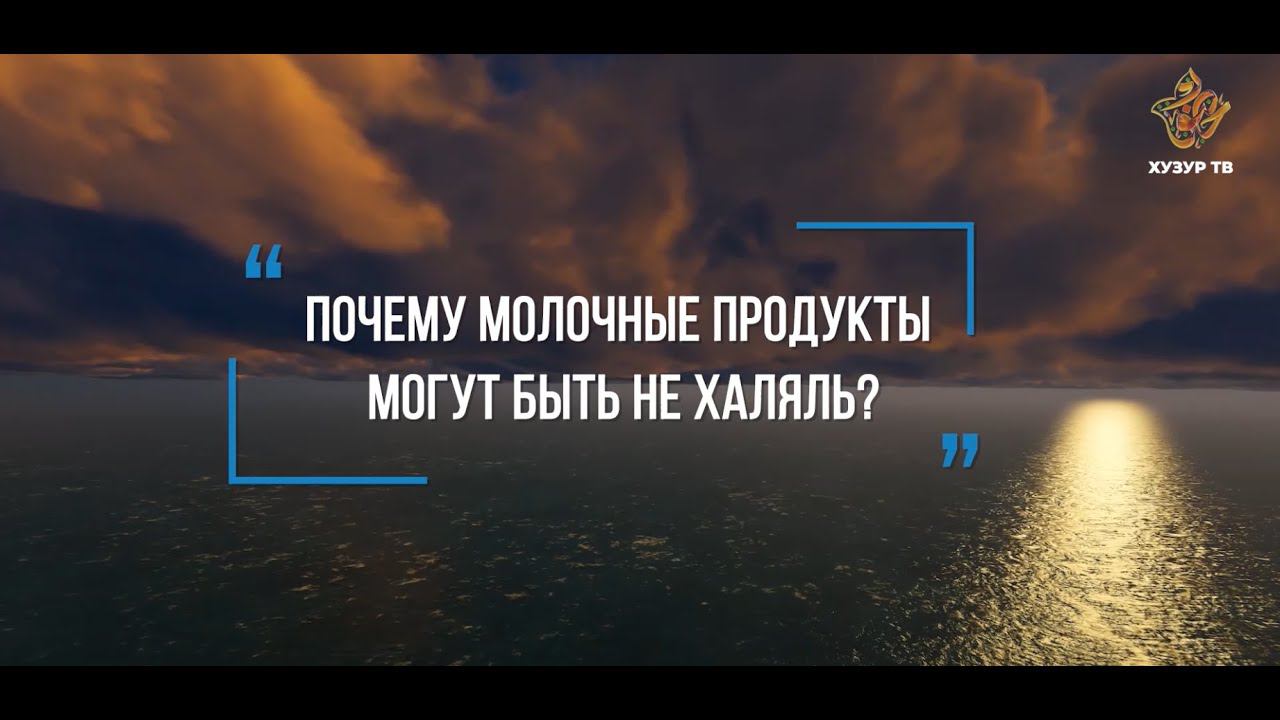 Почему молочные продукты могут быть не халяль? | Салих Патеев