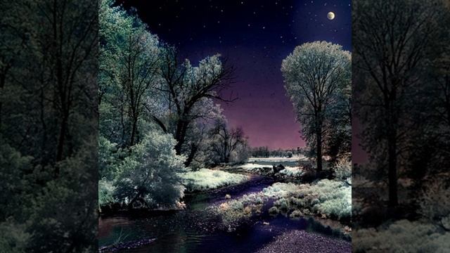Людвиг Ван Бетховен (время раздумий)лунная соната кавер