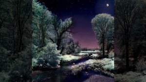 Людвиг Ван Бетховен (время раздумий)лунная соната кавер