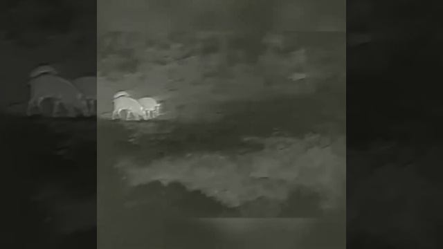 probamos monocular térmico INFIRAY XEYE E3MAX V2 смотреть онлайн