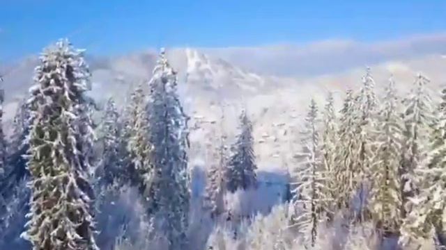 Как правильно отмечать встречу. смотреть онлайн