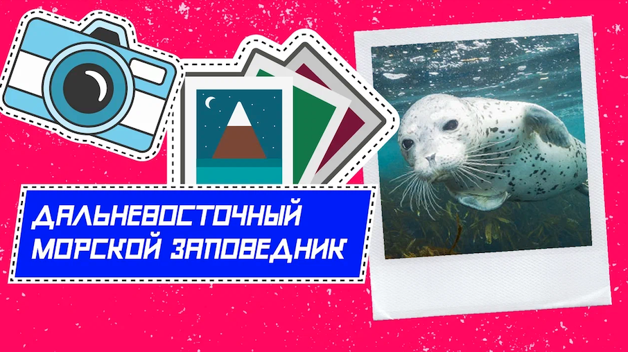 Большая перемена - Дальневосточный морской заповедник