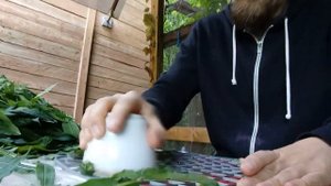 Приспособление за 30 рублей для скручивания ИВАН-ЧАЯ перед ферментацией Лайфхак