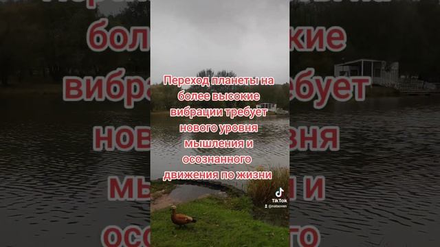 Октябрь 2023 - важнейший месяц и последний шанс исправить ошибки #осень2023
