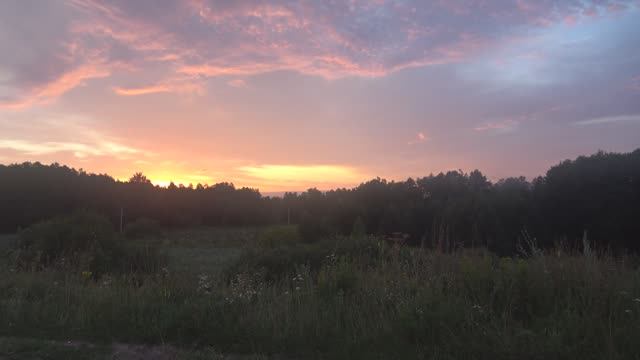 Самая быстрая рыбалка.