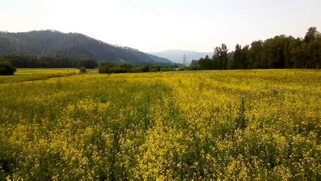 Троицкое, Прибайкальский район, Бурятия смотреть онлайн