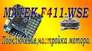 F411-WSE подключение настройка мотора