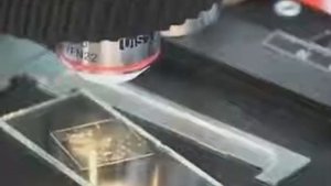 Криминальные хроники   Генотип зверя