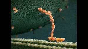 Пафосно и Стильно Счастье идет к тебе!