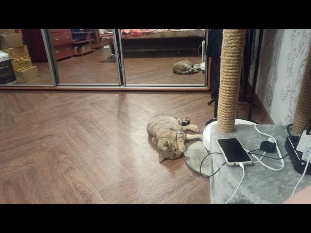 31 августа 2021 г. смотреть онлайн