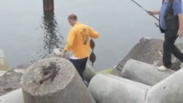 Камбала. смотреть онлайн