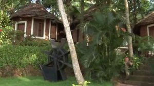 Manaltheeram and Somatheeram Ayurveda Resorts, Kerala, India