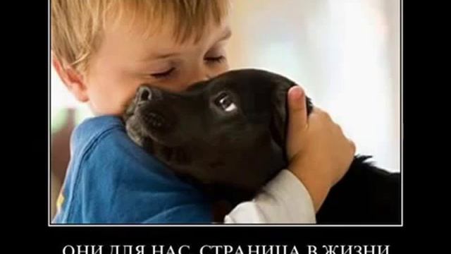 Берегите животных. Save the animals. смотреть онлайн