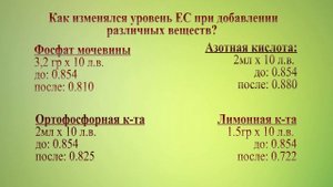 Чем лучше снизить pH воды? Эксперимент с Азотной, Ортофосфорной, Лимонной к-той и фосфатом мочевины