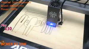 ACMER P2 33W Cactus 3D Wooden Puzzle