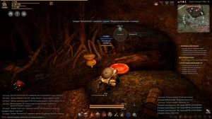 Секреты Black Desert - Скрытая пещера, Ферма Алехандро