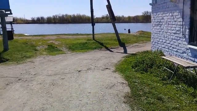платная рыбалка в Саратовской обл. пруд "Черноморец" смотреть онлайн