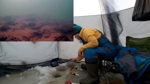 Новые места одарили рыбой / Зимняя рыбалка на сига и хариуса / Рыбалка в мороз в теплой палатке