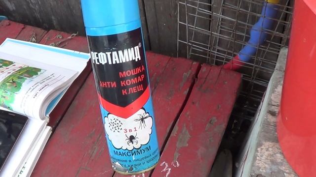 Река Енисей//Прополка в теплице//Уплотненные посадки смотреть онлайн