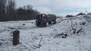 Вывозим дрова из леса