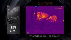 Тепловизор GUIDE TD420 видео из осеннего леса