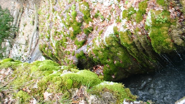 DSC_8585 смотреть онлайн