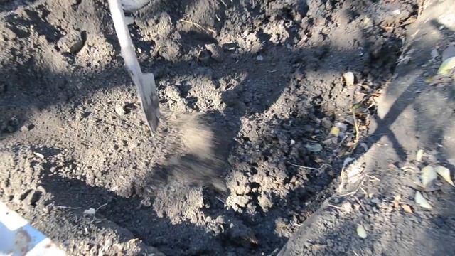 подготовка грядок под огурцы смотреть онлайн