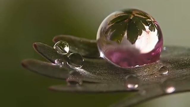 Росинка 1 смотреть онлайн