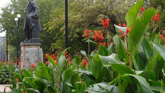 Радіопередача за 1 березня 2021 року смотреть онлайн