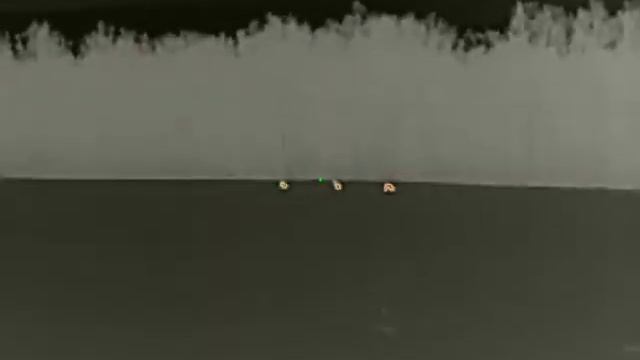 Тепловизионный прицел iRay Saim SCP 19W, косули, козы, козлы. смотреть онлайн