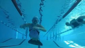 Плавание в бассейне/Фридайвинг/Свободное плавание/«Дельфин»