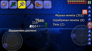 ФЕРМА ЛЕДЯНЫХ МИМИКОВ В ТЕРРАРИИ!!!!