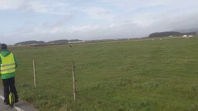 Моноколесо смотреть онлайн