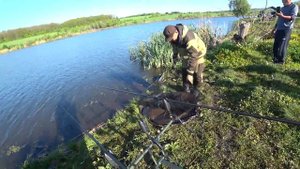 Увесистый карп на рыбалке у Звягина в Воронежской области (пруд Головищи)